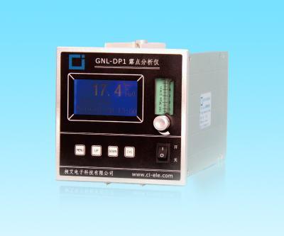 在線露點儀（標(biāo)準(zhǔn)型：露點檢測-80～20℃）